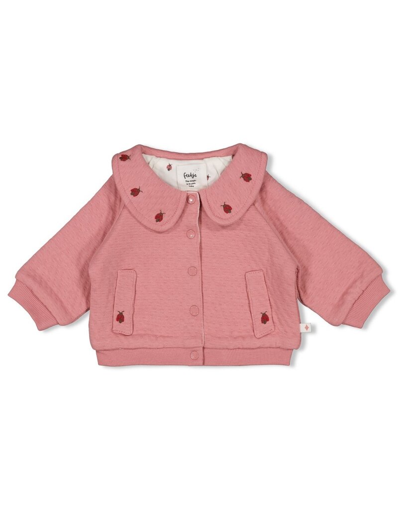 Feetje Jasje - Ladybug