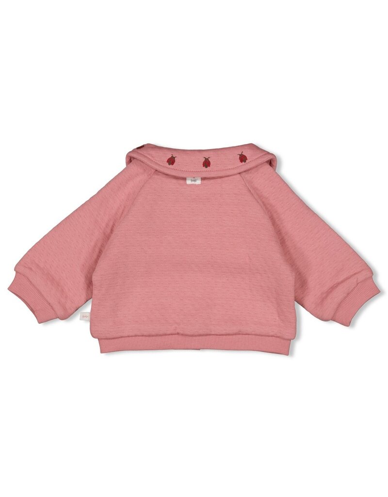 Feetje Jasje - Ladybug