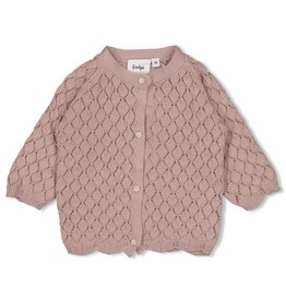 Feetje Vestje gebreid - Delicate Flower