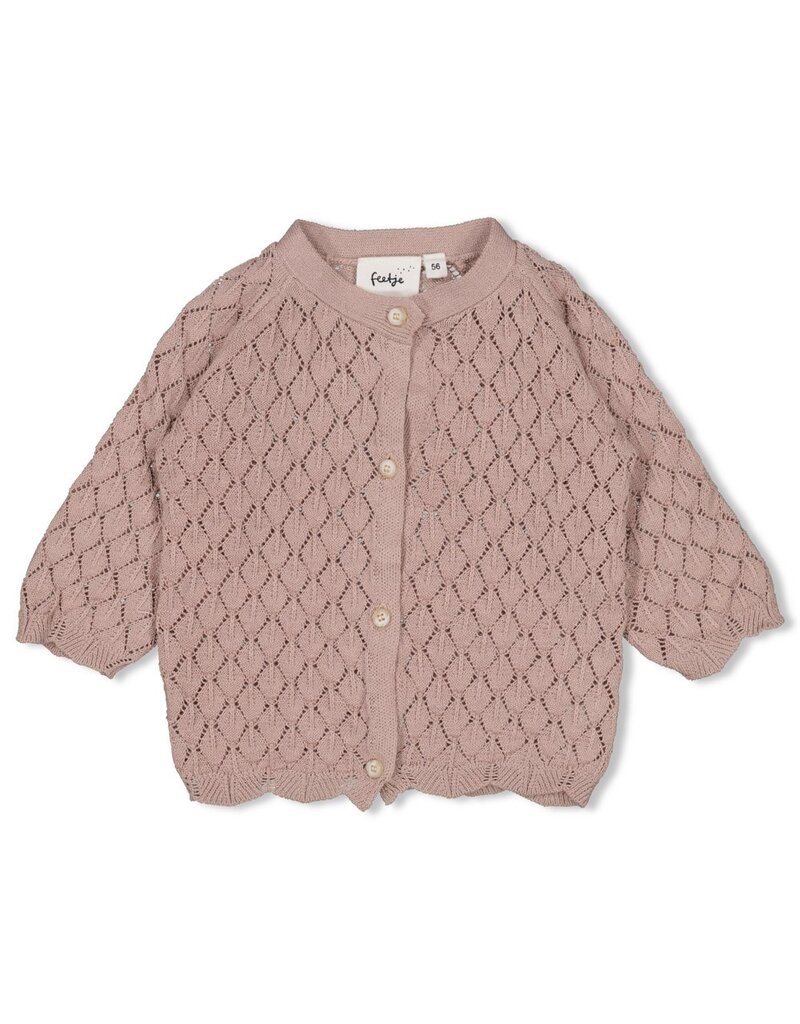 Feetje Vestje gebreid - Delicate Flower