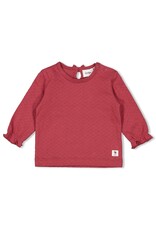 Feetje Longsleeve Berry - Ladybug