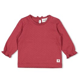 Feetje Longsleeve Berry - Ladybug
