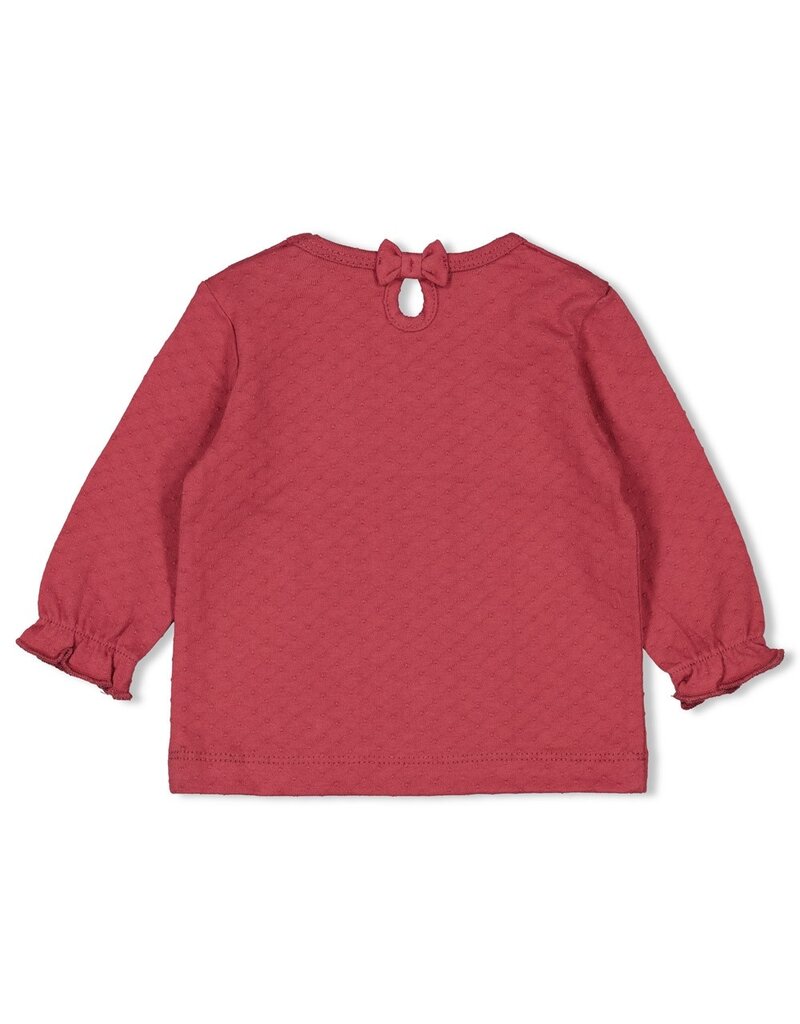 Feetje Longsleeve Berry - Ladybug