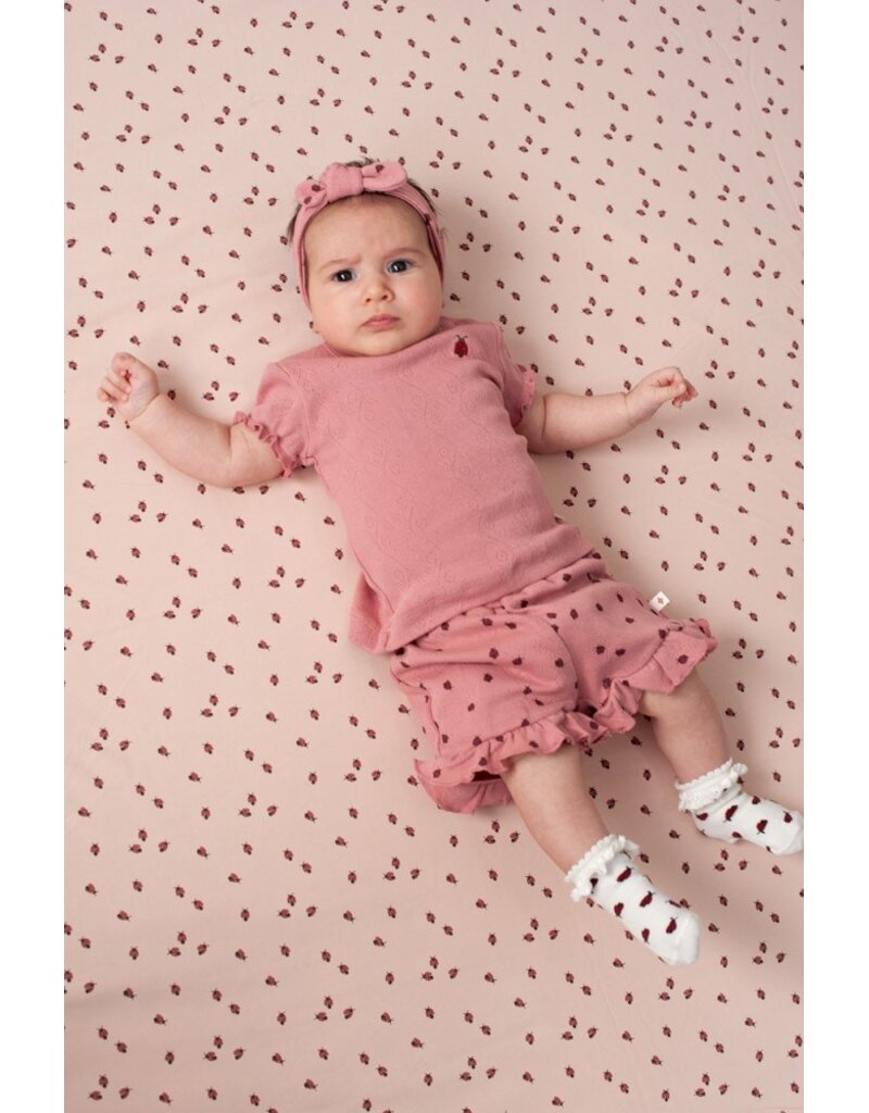 Feetje T-shirt ajour rib roze - Ladybug