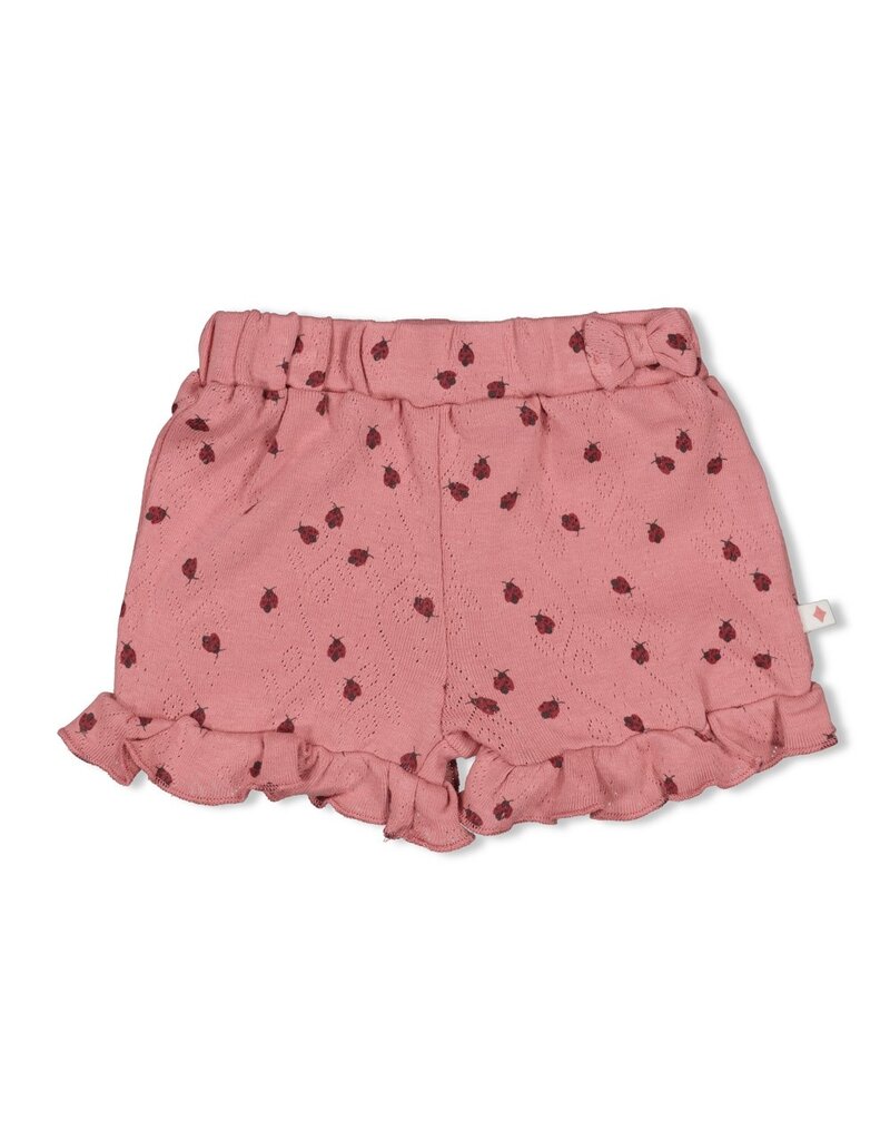 Feetje Short ajour rib AOP - Ladybug