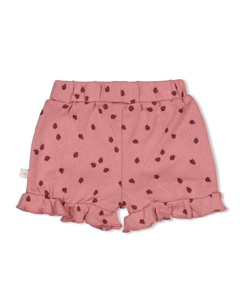 Feetje Short ajour rib AOP - Ladybug