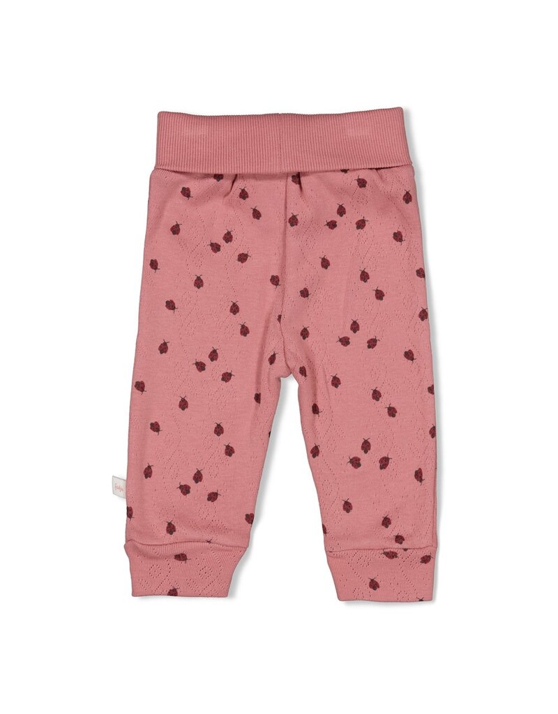 Feetje Broek ajour rib AOP Roze - Ladybug