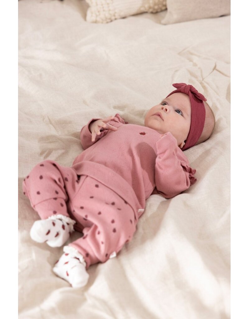 Feetje Broek ajour rib AOP Roze - Ladybug