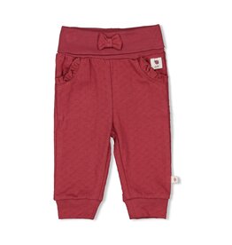 Feetje Broek Berry - Ladybug