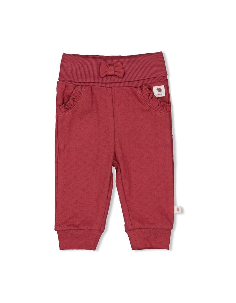 Feetje Broek Berry - Ladybug
