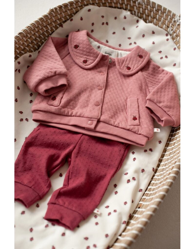 Feetje Broek Berry - Ladybug