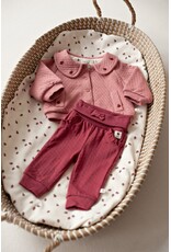 Feetje Broek Berry - Ladybug
