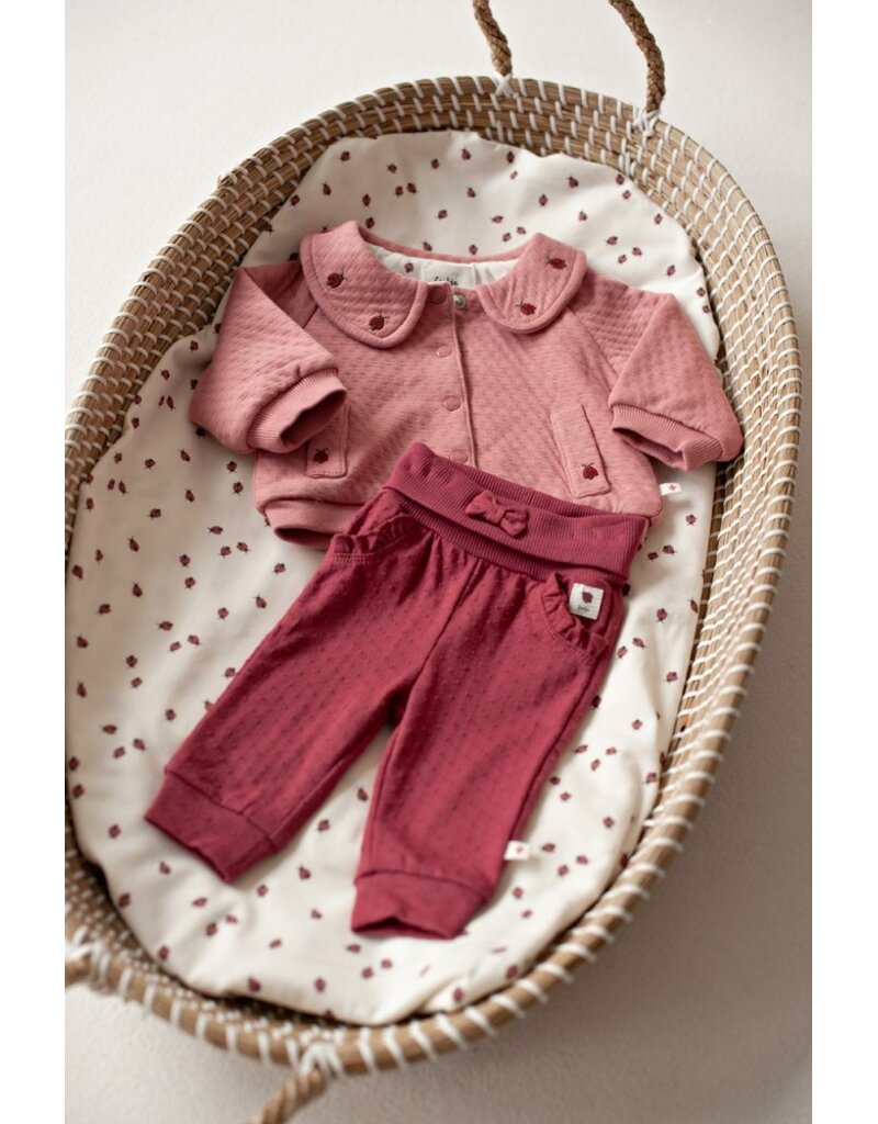 Feetje Broek Berry - Ladybug
