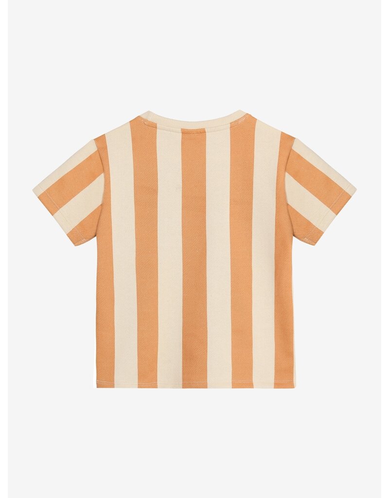 Daily Seven T-shirt Big Stripe Sandstone