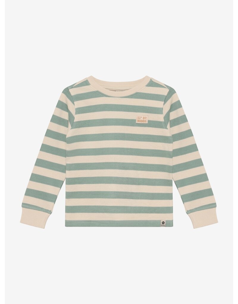 Daily Seven T-shirt Longsleeve Stripe Green Milieu