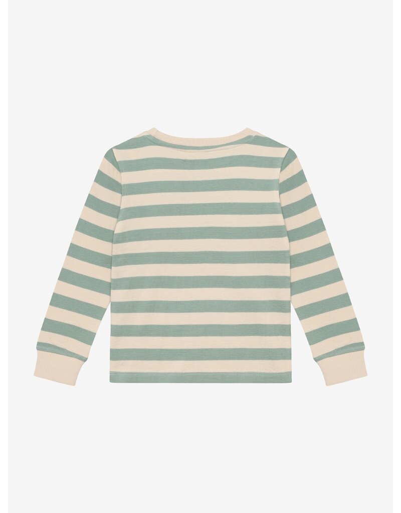 Daily Seven T-shirt Longsleeve Stripe Green Milieu