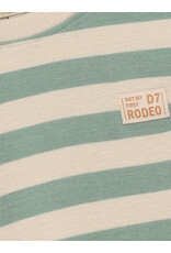 Daily Seven T-shirt Longsleeve Stripe Green Milieu