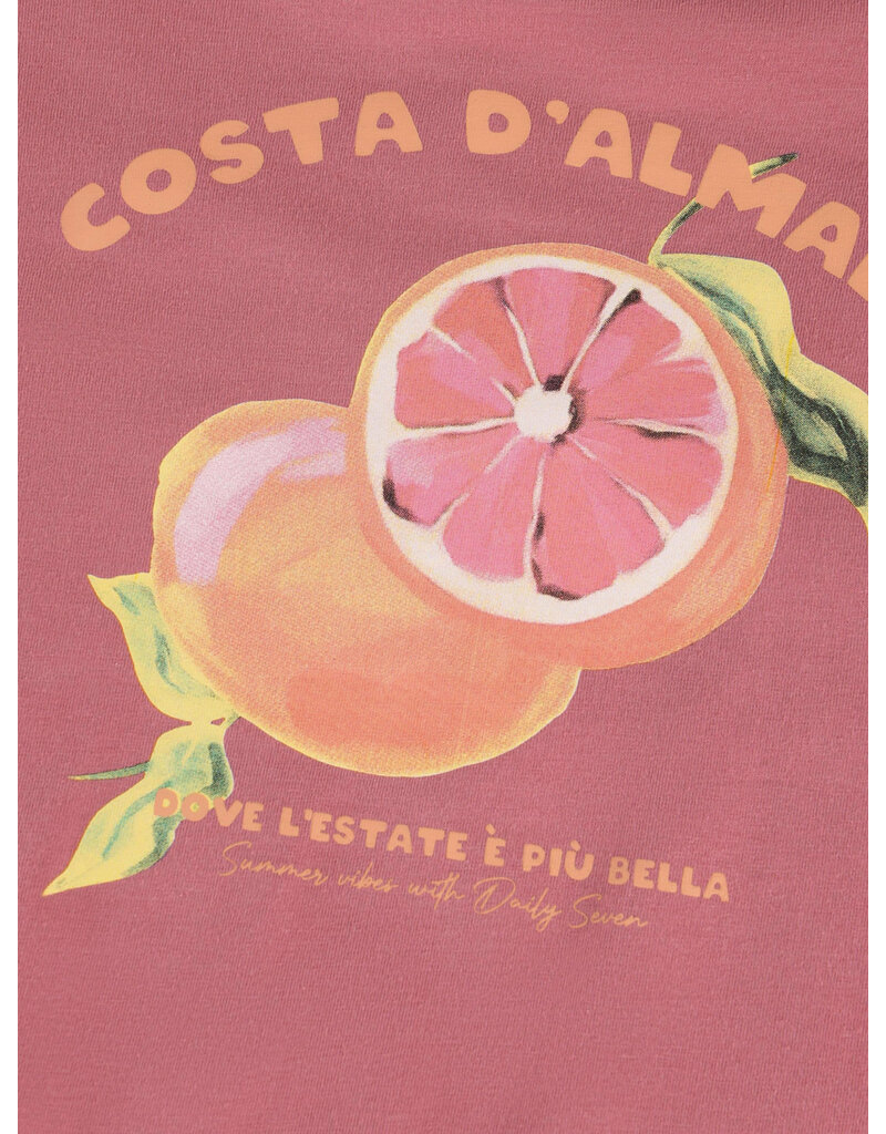 Daily Seven T-shirt Backprint Heather Rose