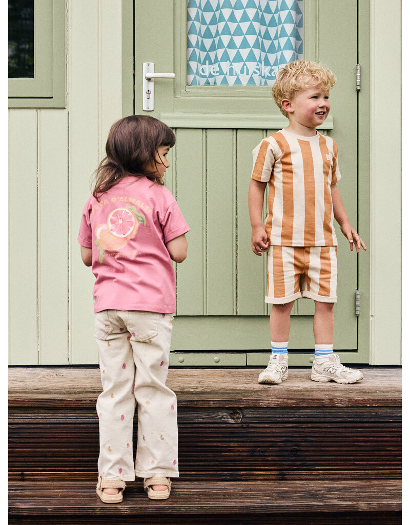 Daily Seven T-shirt Backprint Heather Rose