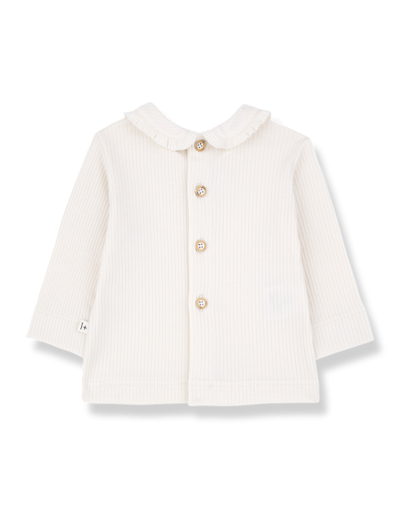 1+ in the family Coles collar blouse Ecru