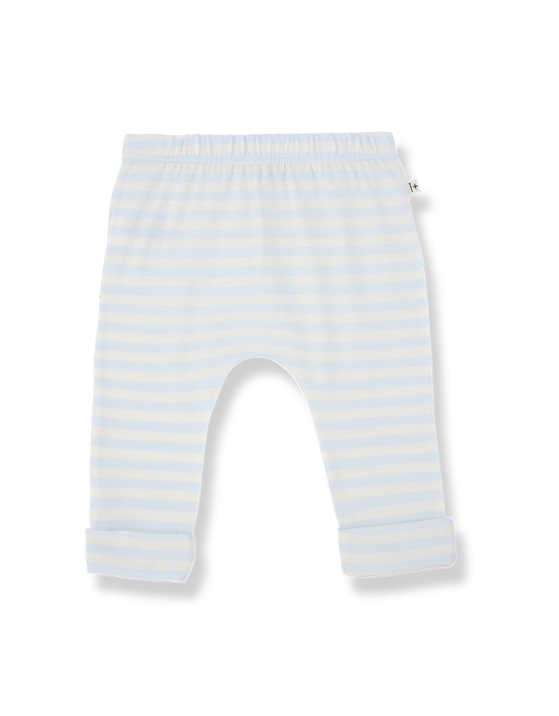 1+ in the family Saul leggings misty blue