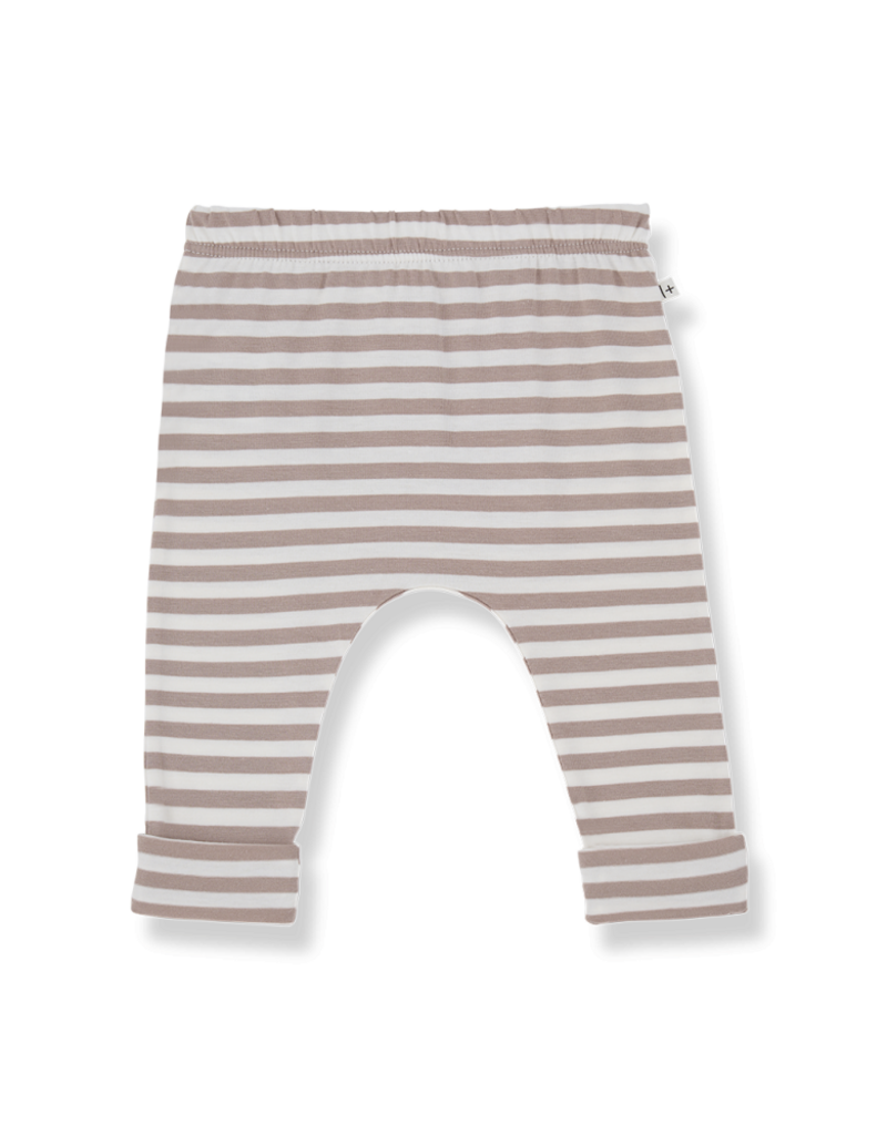 1+ in the family Saul leggings taupe