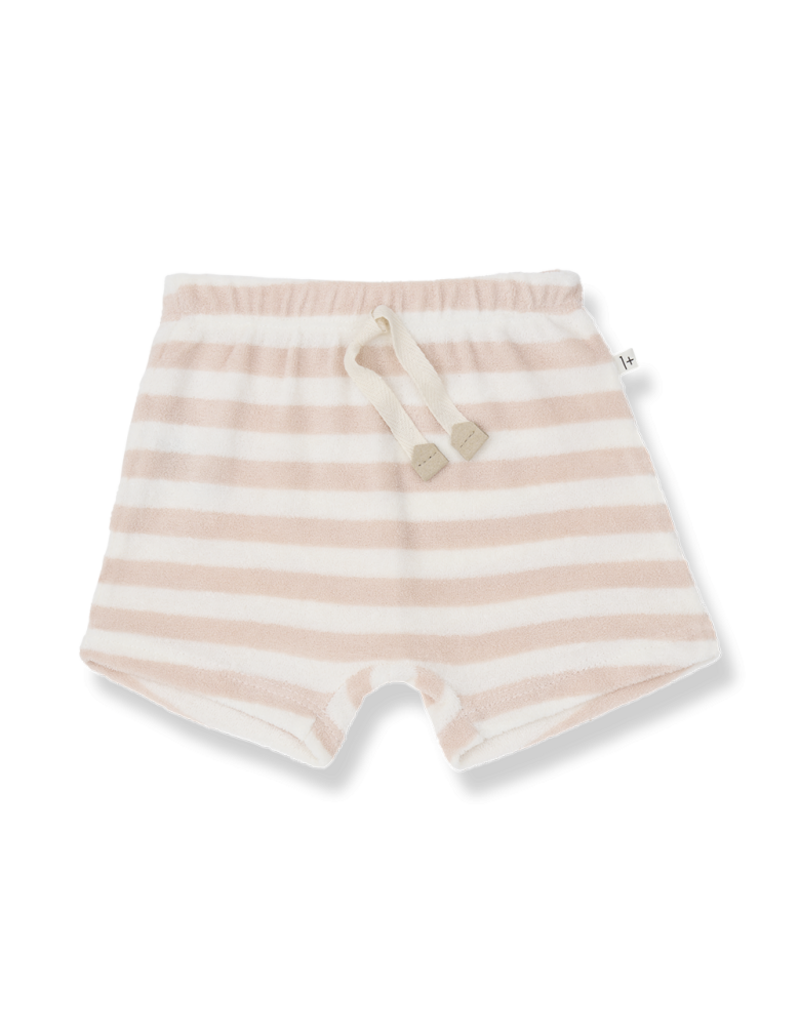 1+ in the family Feres bermuda blossom