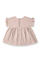 1+ in the family Satuna dress rose