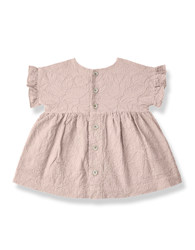 1+ in the family Satuna dress rose