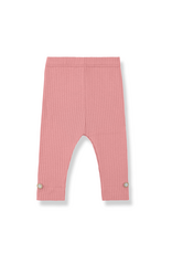 1+ in the family Sina leggings strawberry