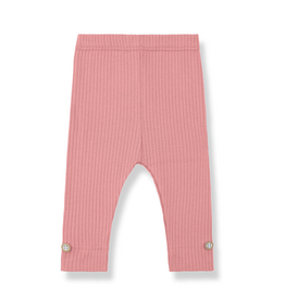 1+ in the family Sina leggings strawberry