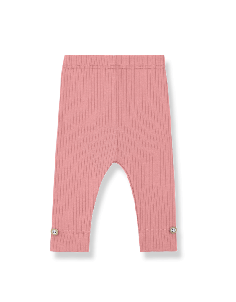 1+ in the family Sina leggings strawberry