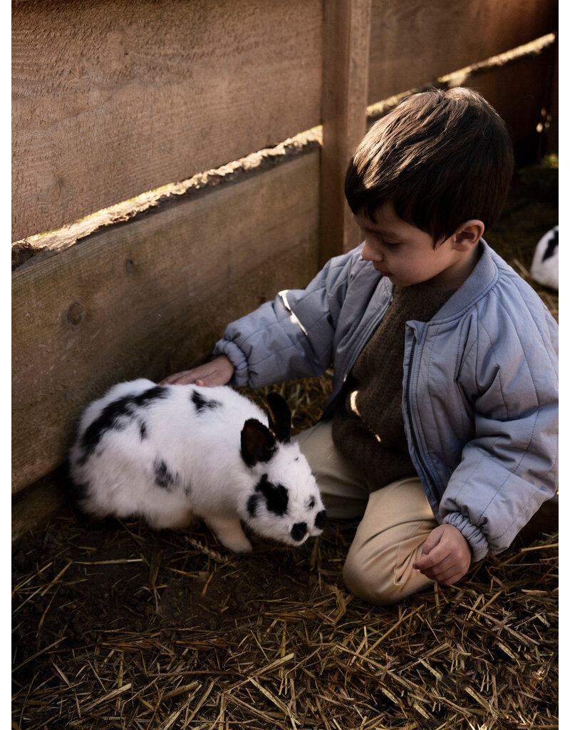 Lil' Atelier Lio Bomber Jacket Tradewinds Whale Kids