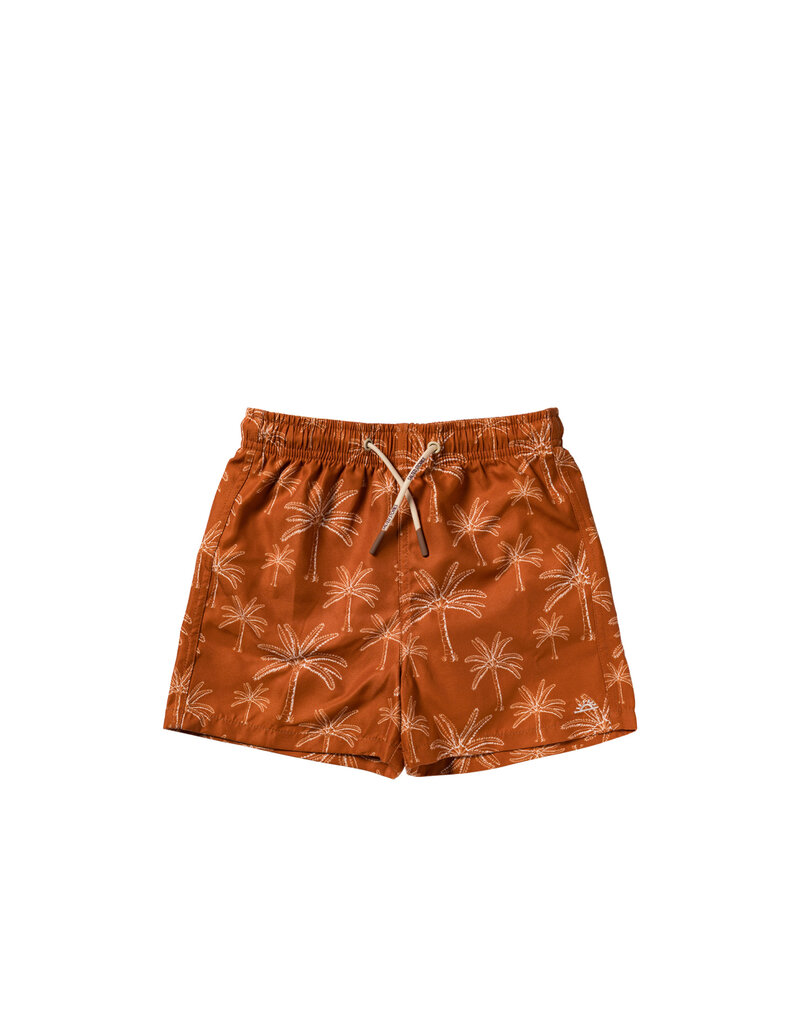 Salted Stories Palms | Swim Shorts Bombay Brown