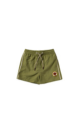 Salted Stories Solid | Swim Shorts Iguana