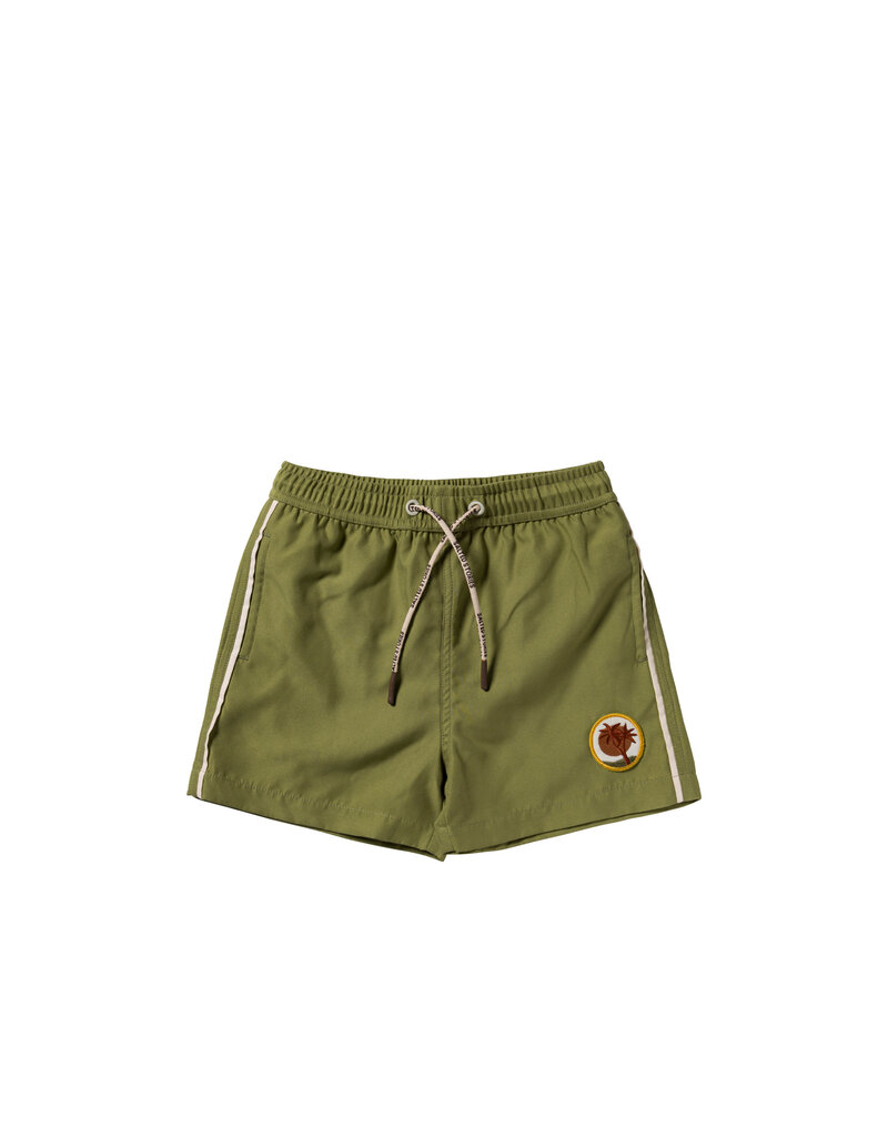 Salted Stories Solid | Swim Shorts Iguana