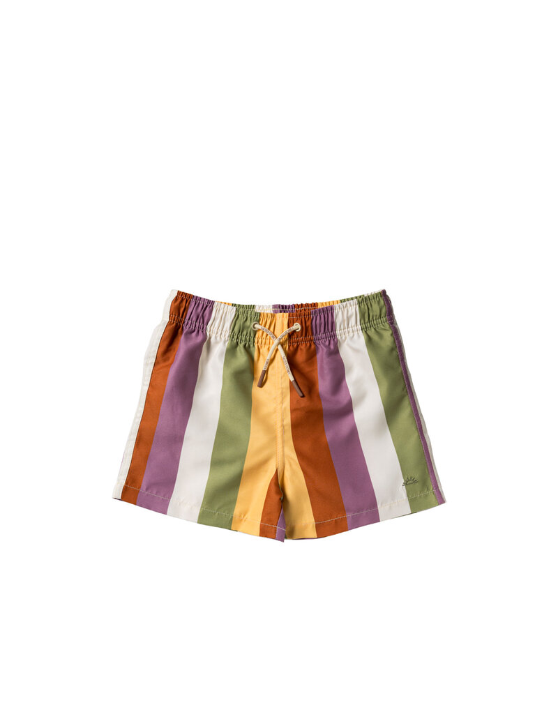 Salted Stories Multi Stripe | Swim Shorts Multicolor