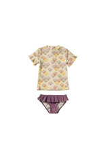 Salted Stories Shells | Set Multicolor