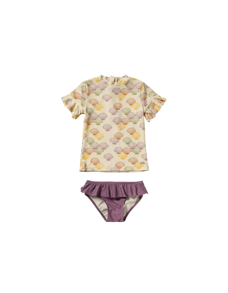 Salted Stories Shells | Set Multicolor