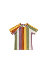 Salted Stories Multi Stripe | Swim Tee Multicolor