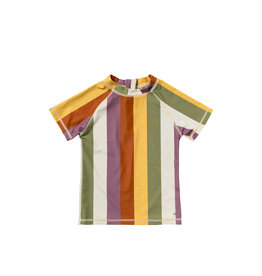 Salted Stories Multi Stripe | Swim Tee Multicolor