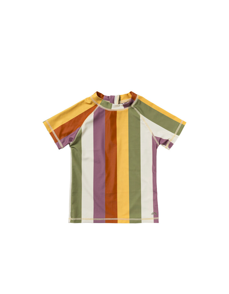Salted Stories Multi Stripe | Swim Tee Multicolor
