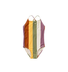 Salted Stories Multi Stripe | Swimsuit Multicolor