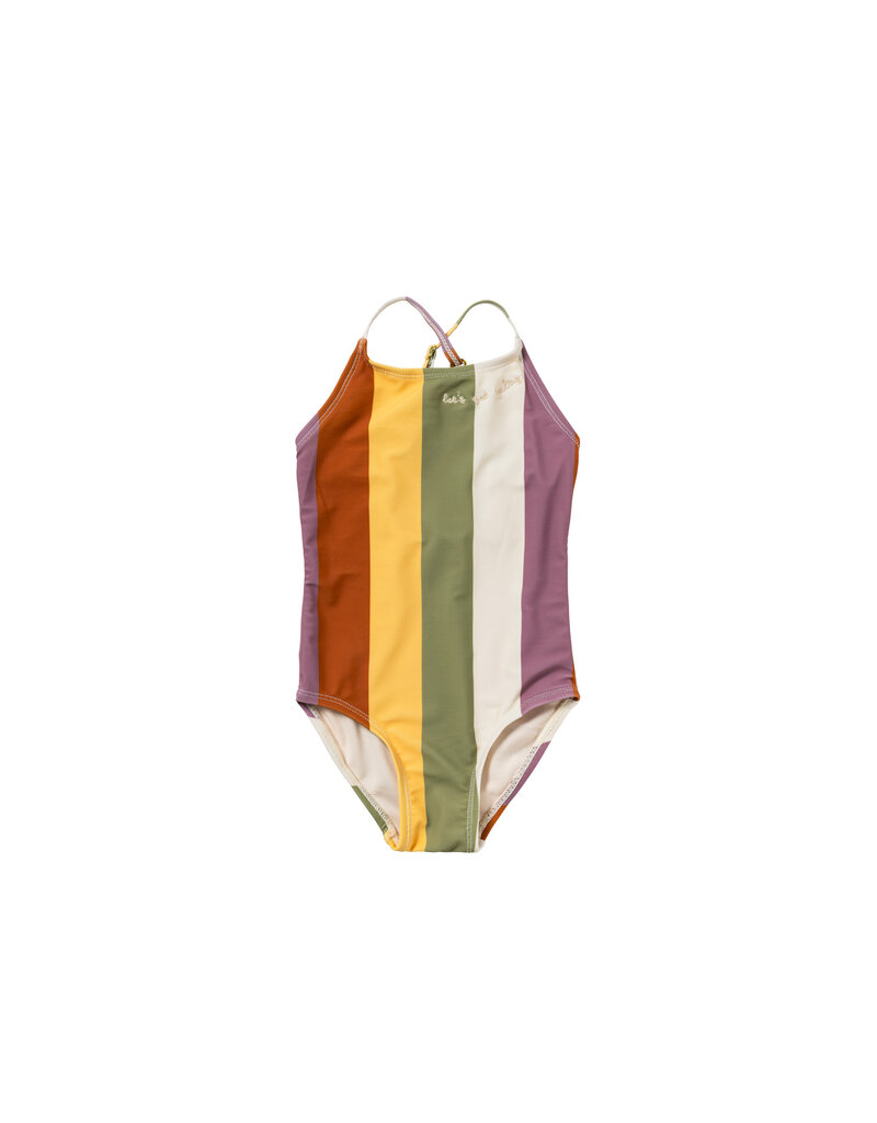 Salted Stories Multi Stripe | Swimsuit Multicolor