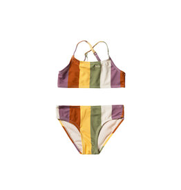 Salted Stories Multi Stripe | Bikini Multicolor