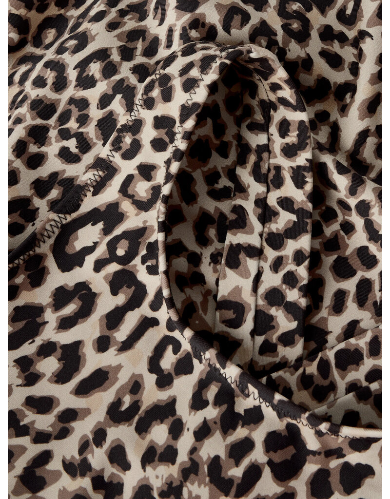 name it Animal Swimsuit Mole