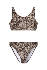 name it Animal Bikini Mole