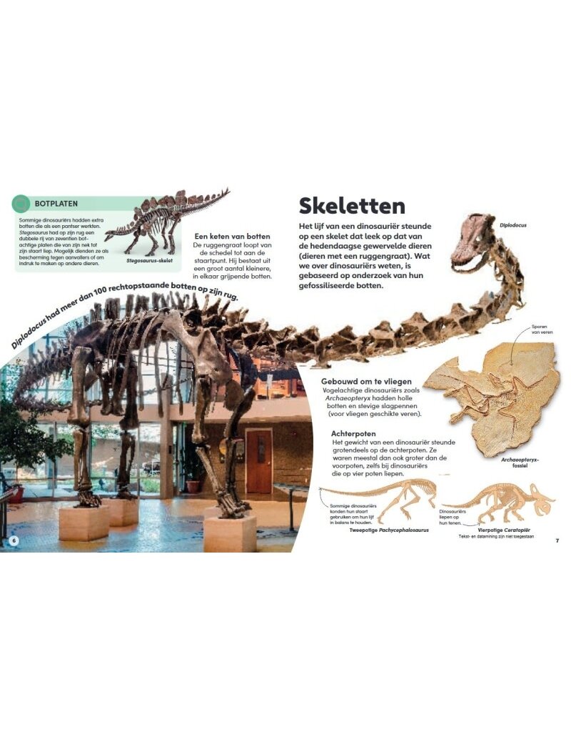 Gottmer Het kleine boek over dinosauriërs