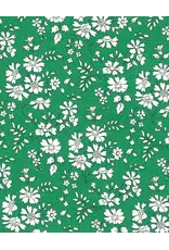 Minikane Jumpsuit Groen Emile & Ida