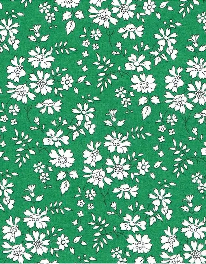 Minikane Jumpsuit Groen Emile & Ida